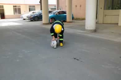 3-1 390 260px.jpg