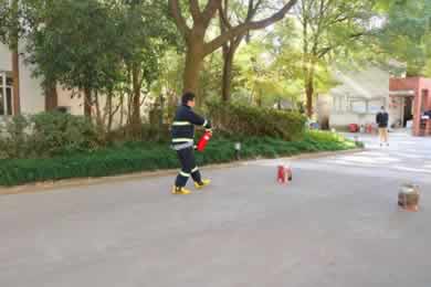 4-1 390 260px.jpg